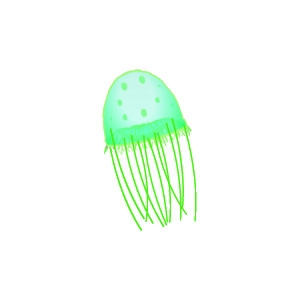 Mint Green Jellyfish